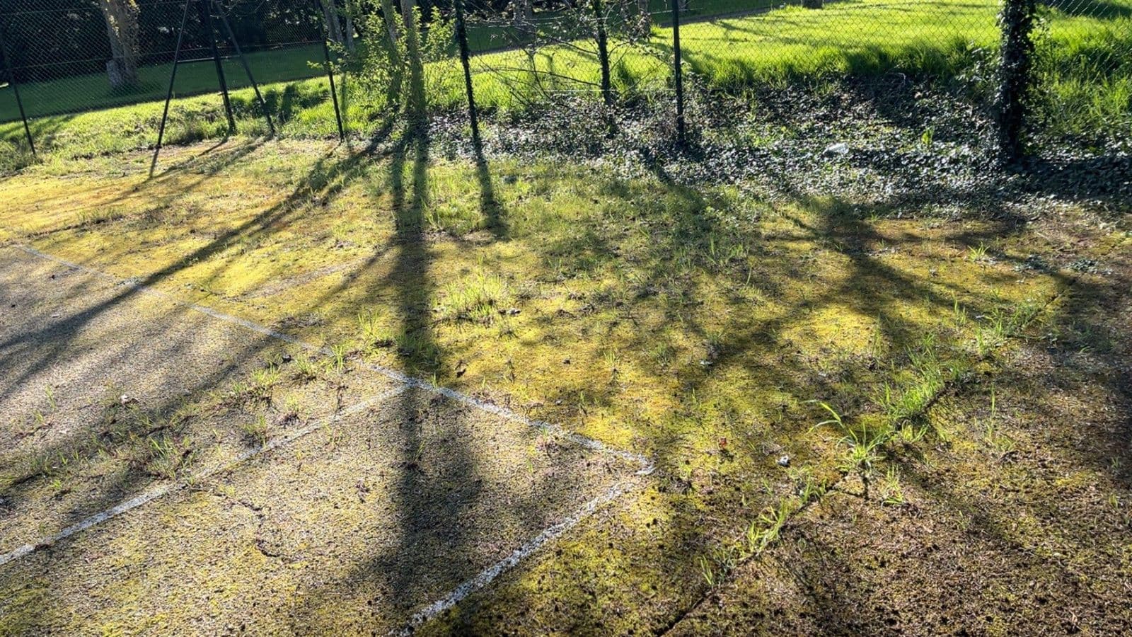 Terrasse extérieure envahie de mousse verte avant démoussage par H-Company 47